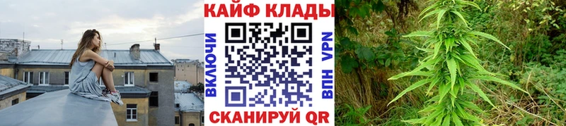 Купить закладку Псилоцибиновые грибы  APVP  МЕФ  Канабис  Тосно