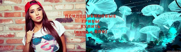 гидропоника Иннополис