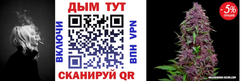 Купить  Тосно  Каннабис семена 